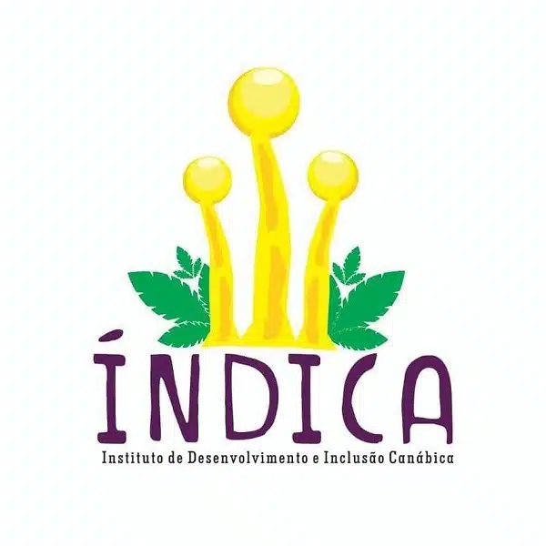 Logo Instituto Índica
